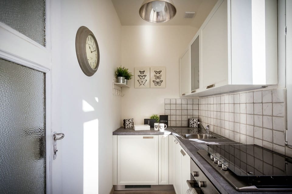 Apartment, 1 Bedroom | Private kitchen | Fridge, microwave, oven, stovetop