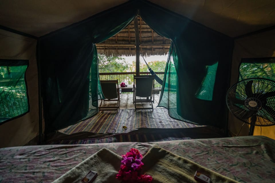 Deluxe Tree House | Bed sheets
