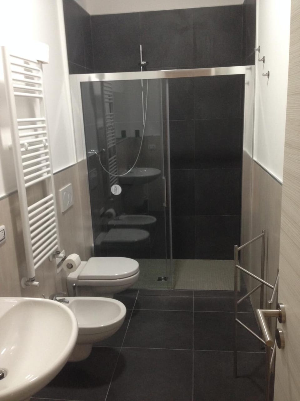 Shower, free toiletries, hair dryer, bidet