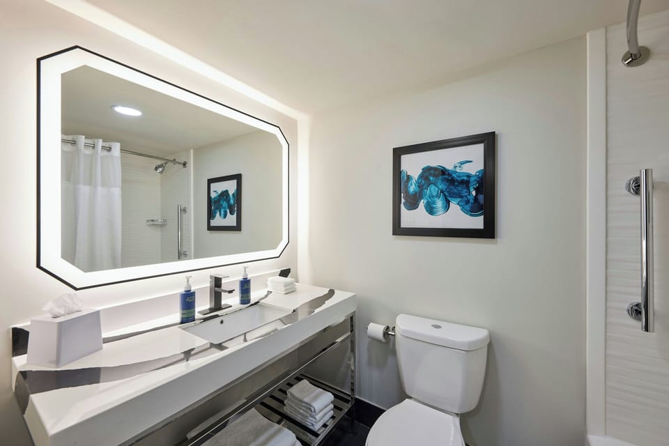 Combined shower/tub, free toiletries, hair dryer, towels
