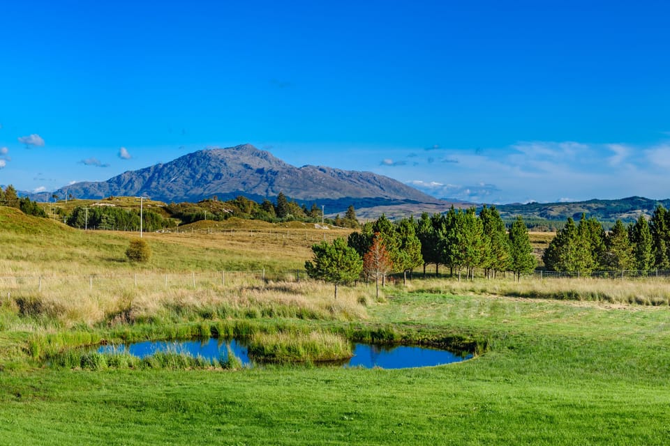 Superior Twin Room | Mountain view