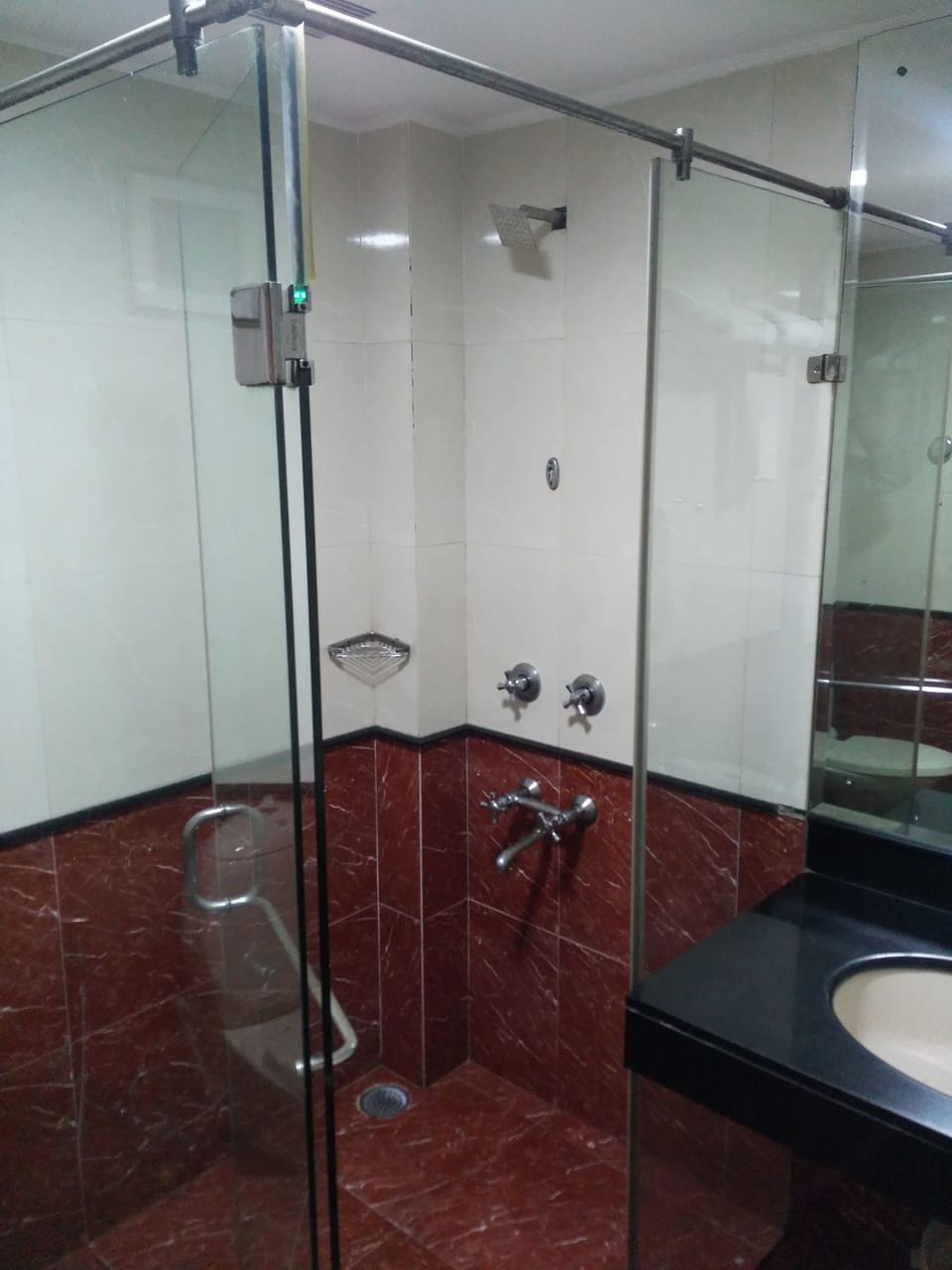 Deluxe Double or Twin Room | Bathroom | Shower, free toiletries, towels