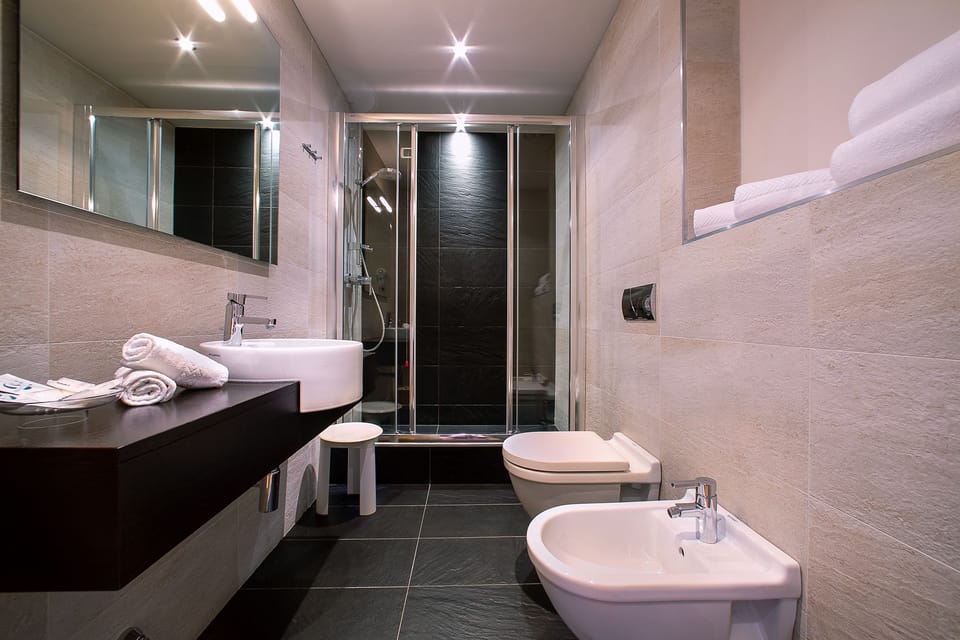 Hair dryer, bidet, towels