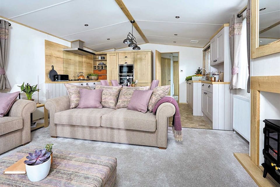 Premium Plus Caravan 2 (pet) | Living area | Flat-screen TV