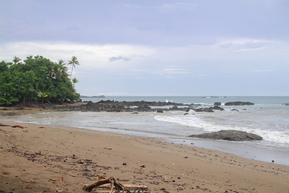 Aguila de Osa Rainforest & Marine Adventure Lodge Hotel in Bahia Drake