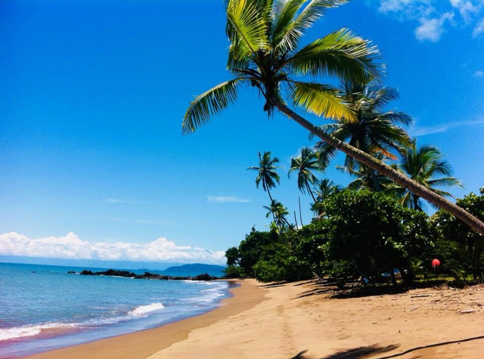 Aguila de Osa Rainforest & Marine Adventure Lodge Hotel in Bahia Drake