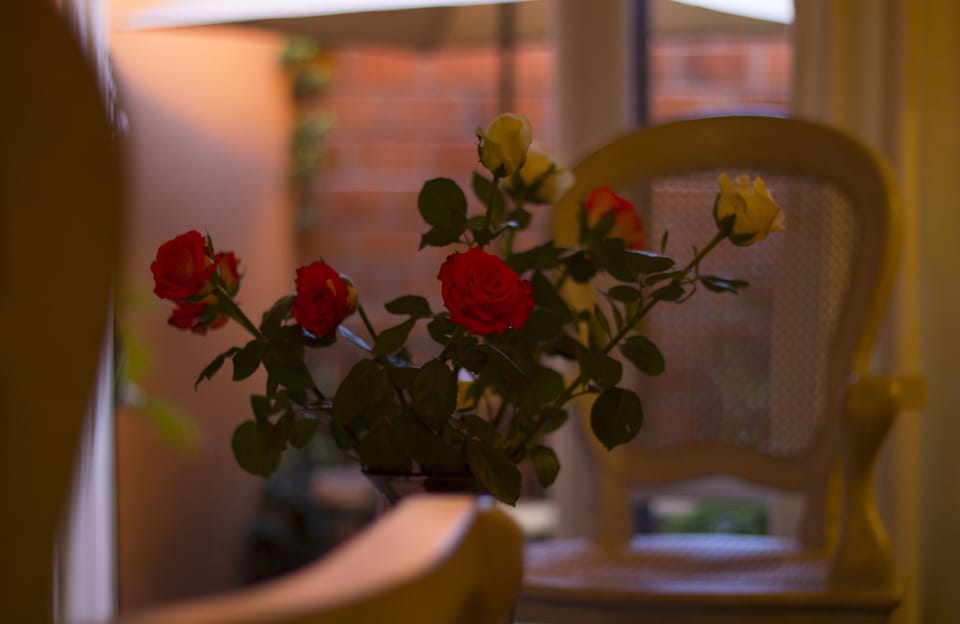 Room (La Rosa) | In-room safe, individually decorated, individually furnished