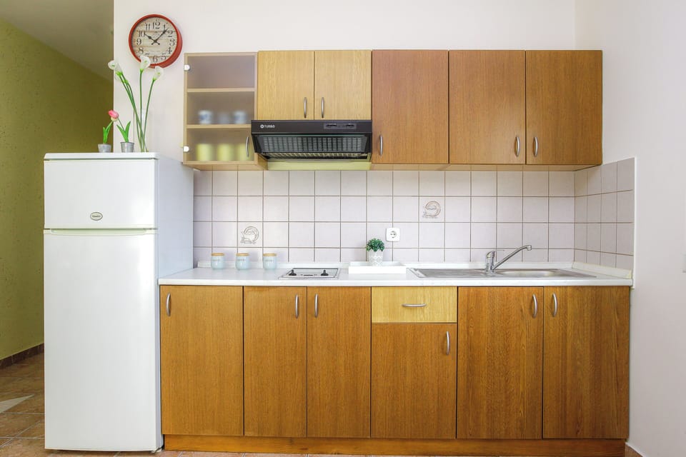 Apartment, 1 Bedroom, Terrace | Private kitchen | Fridge, microwave, stovetop, electric kettle