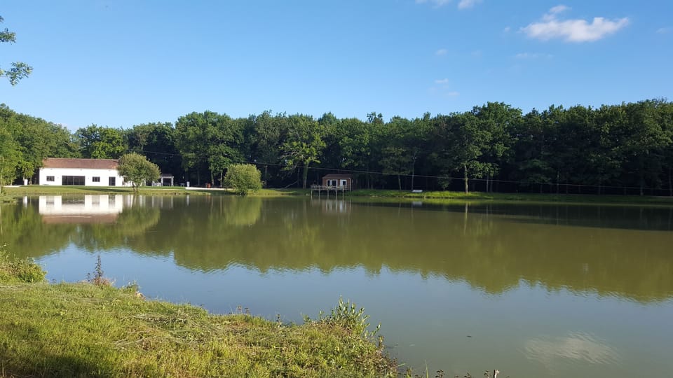 Lake