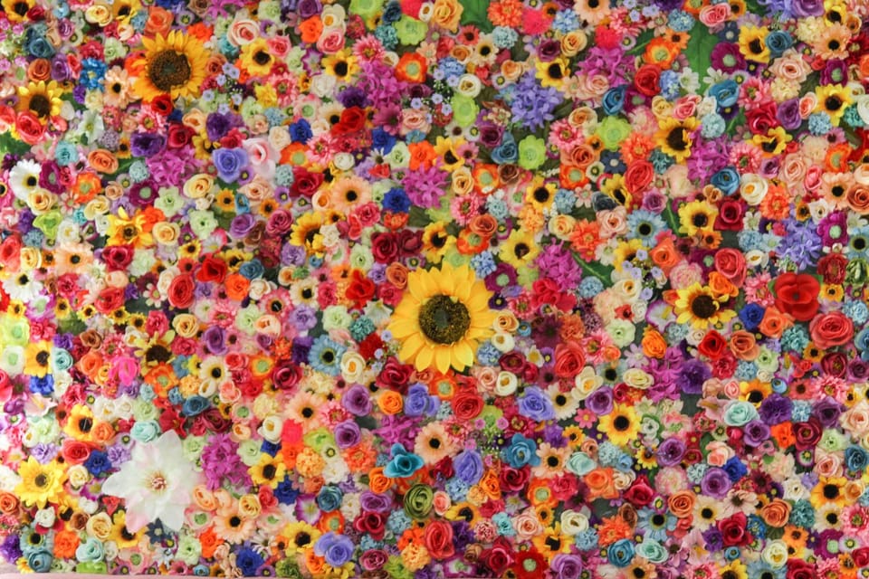 Design Room (The Garden) | Hypo-allergenic bedding, in-room safe, individually decorated