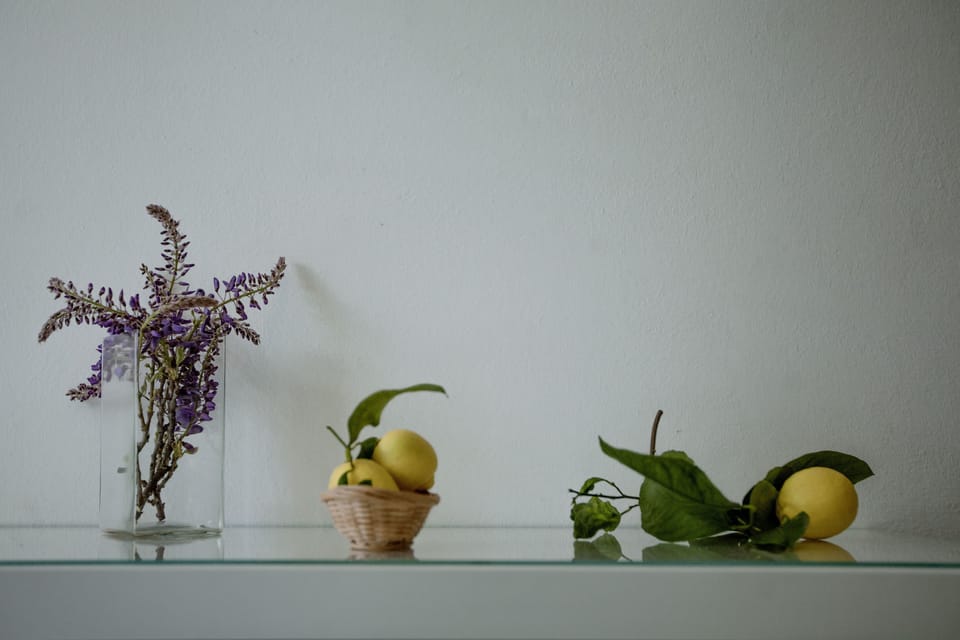 Hypo-allergenic bedding, down comforters, individually decorated