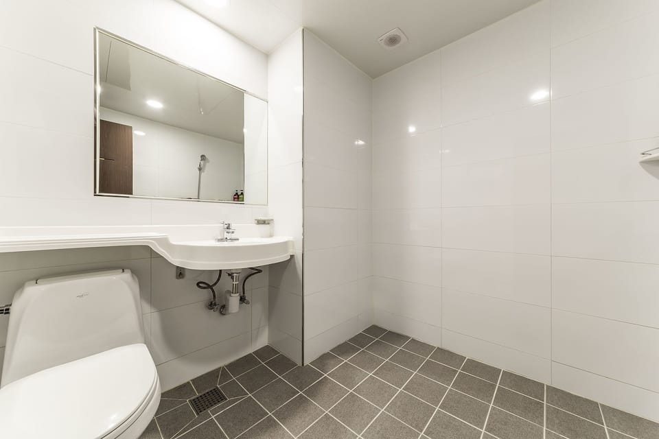 Deluxe Double Room | Bathroom | Shower, free toiletries, hair dryer, bathrobes