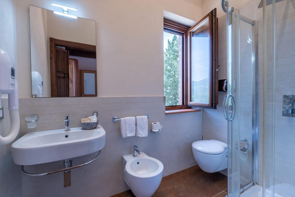 Shower, hair dryer, bidet, towels