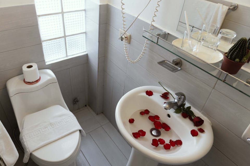 Shower, free toiletries, hair dryer, bidet