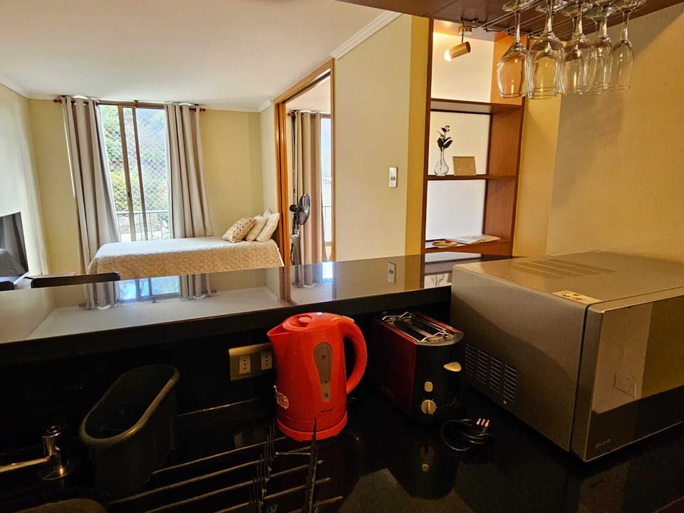 Comfort Apartment, 1 Bedroom | Private kitchen | Fridge, microwave, oven, stovetop