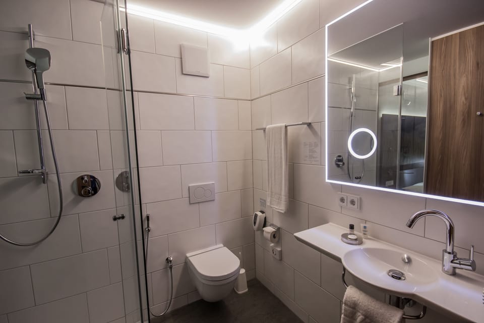 Deluxe Double or Twin Room | Bathroom | Shower, hydromassage showerhead, free toiletries, hair dryer