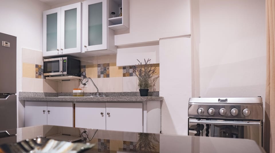 Junior Studio Suite | Private kitchen | Mini-fridge