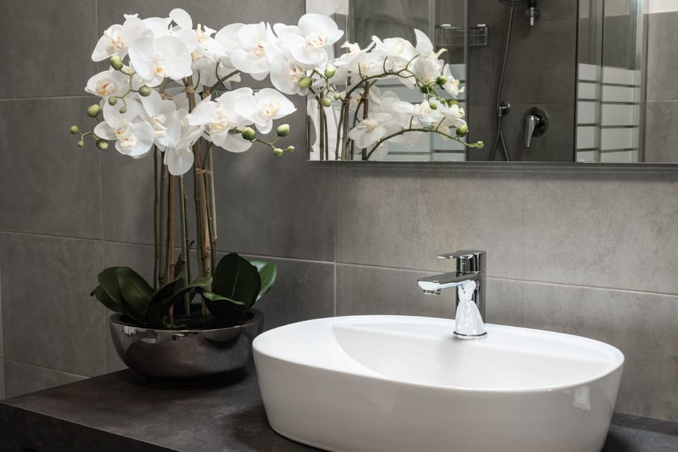 Shower, free toiletries, hair dryer, bidet