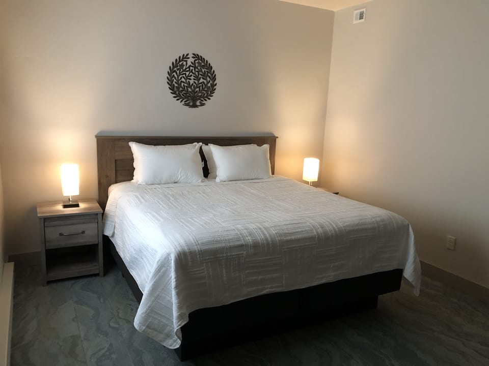 Deluxe Double Room, 1 King Bed, Non Smoking | Television