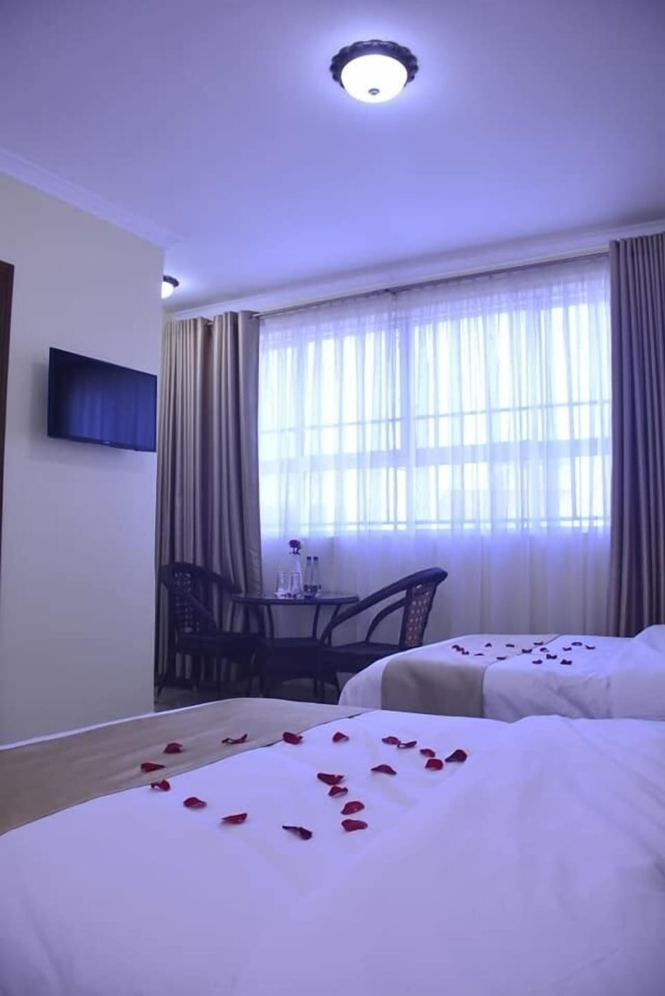 Twin Room | Soundproofing, iron/ironing board, free WiFi, bed sheets