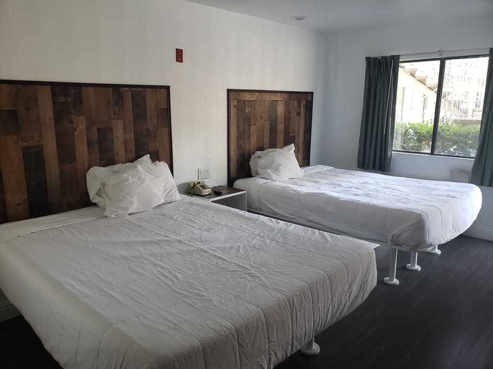 Desk, free WiFi, bed sheets, wheelchair access