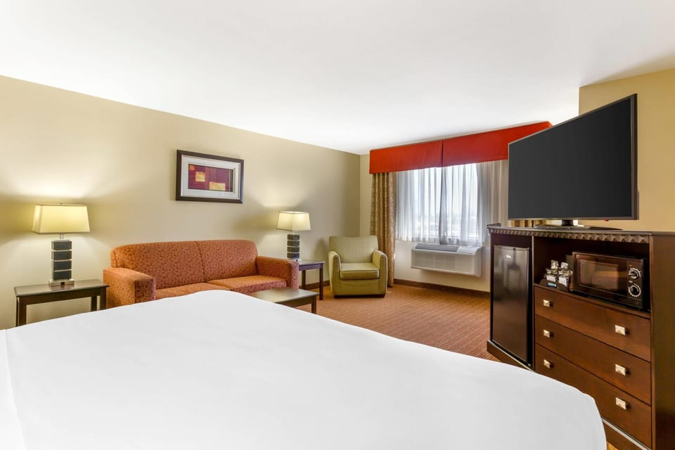 Standard Room, 1 King Bed, Non Smoking | Premium bedding, desk, iron/ironing board, rollaway beds (surcharge)