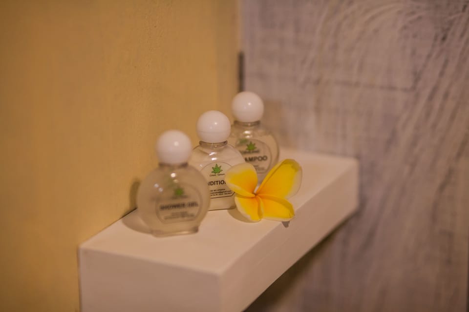 Standard Double Room | Bathroom amenities | Shower, free toiletries, hair dryer, slippers