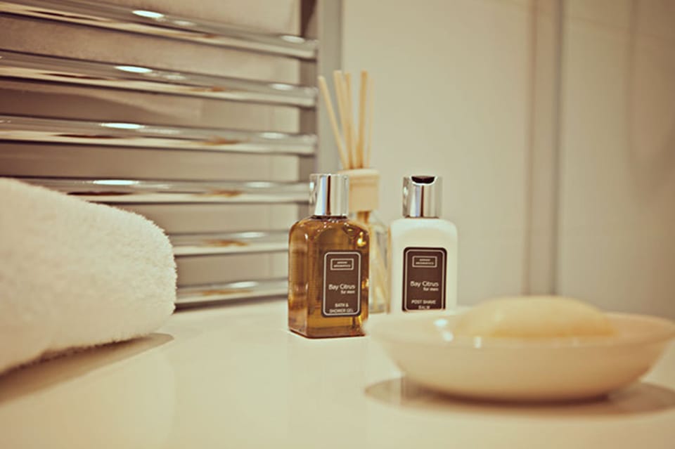 Shower, free toiletries, hair dryer, towels