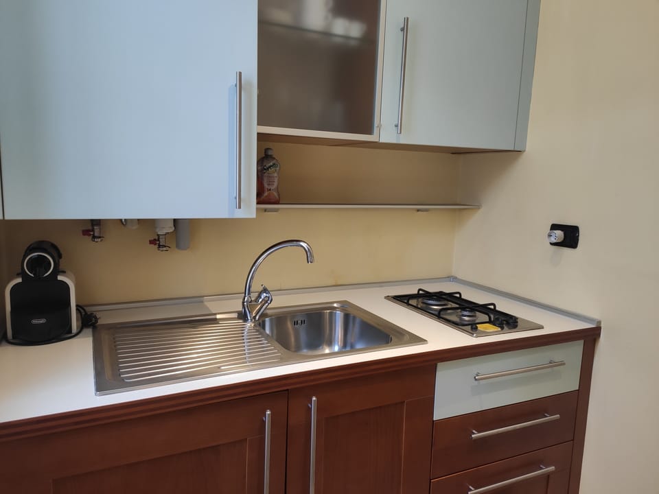 Economy Suite, Lake View | Private kitchen