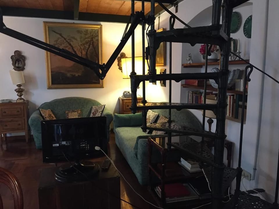 TV