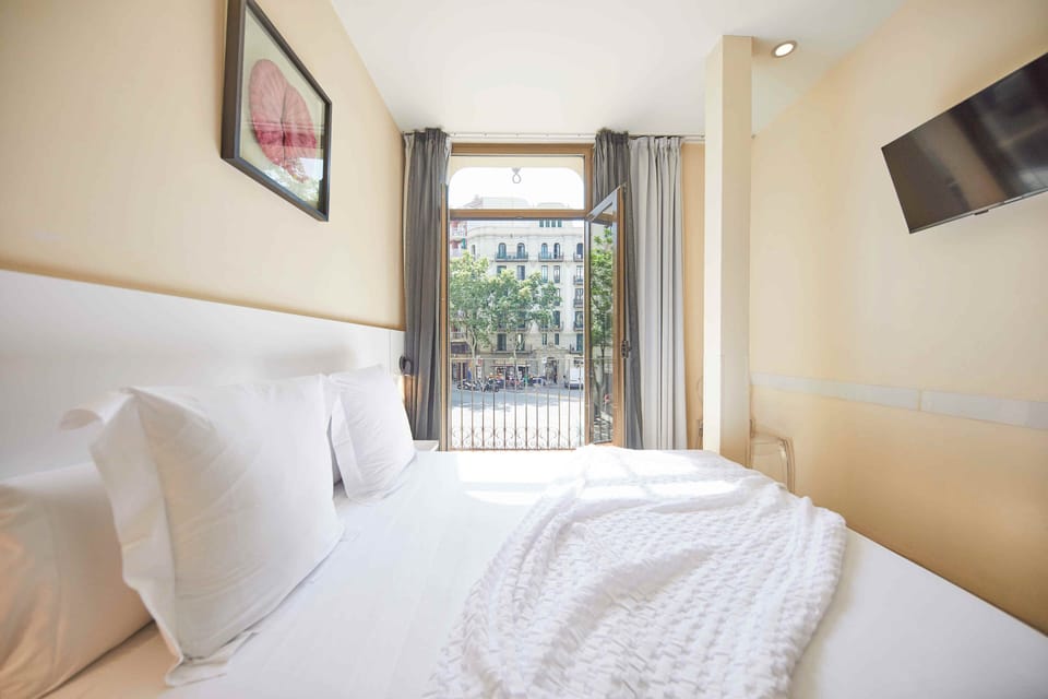 Comfort Double Room | Down comforters, individually decorated, blackout drapes, soundproofing