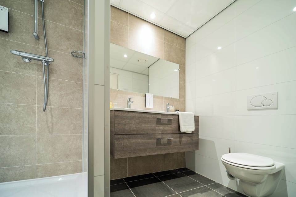Executive Room | Bathroom | Shower, hydromassage showerhead, eco-friendly toiletries, hair dryer