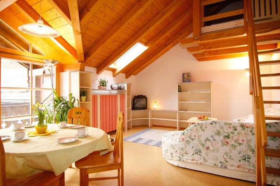 Family Apartment (Holunder) | Living area | 27-inch flat-screen TV with satellite channels, TV