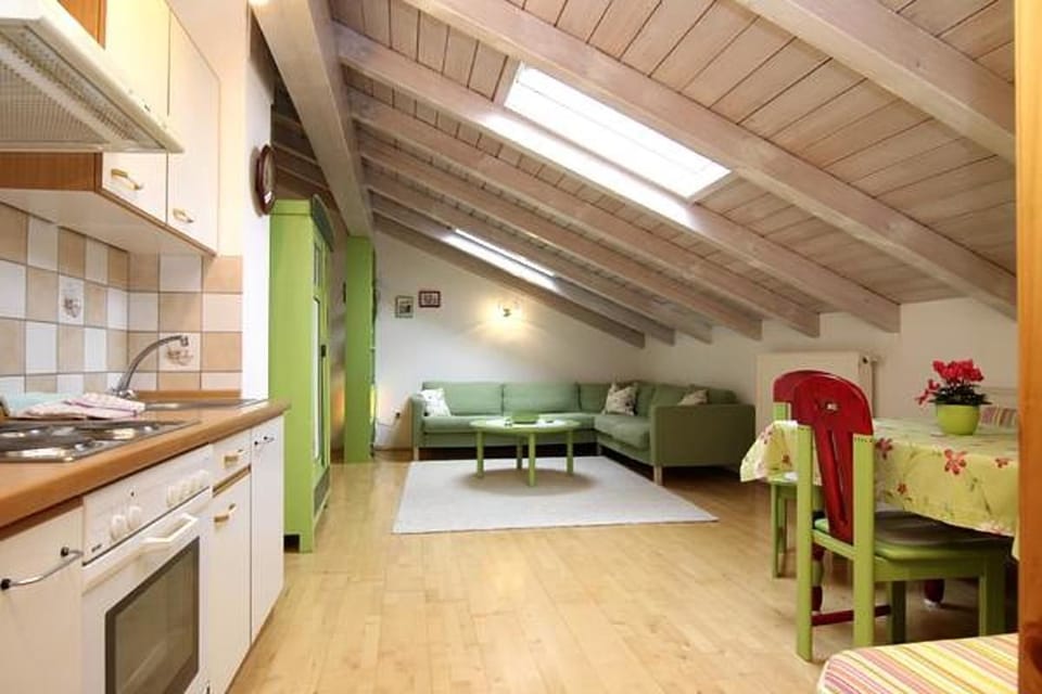 Family Apartment (Apfel) | Private kitchen | Coffee/tea maker, full-size fridge, shared microwave, oven