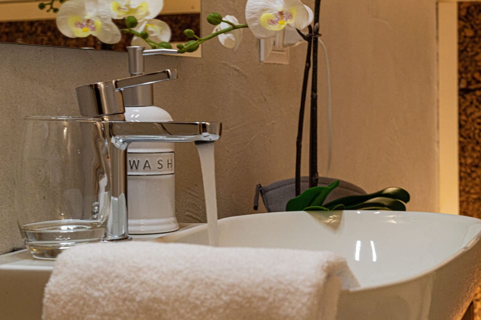 Panoramic Double Room | Bathroom amenities | Shower, free toiletries, hair dryer, bidet
