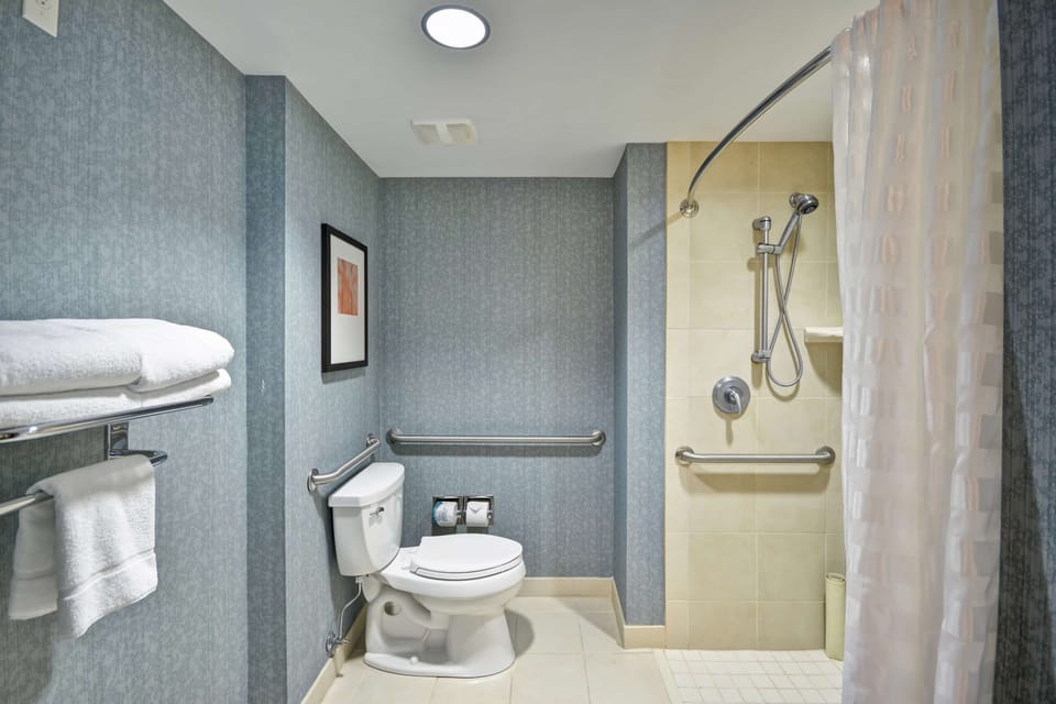 Designer toiletries, hair dryer, towels