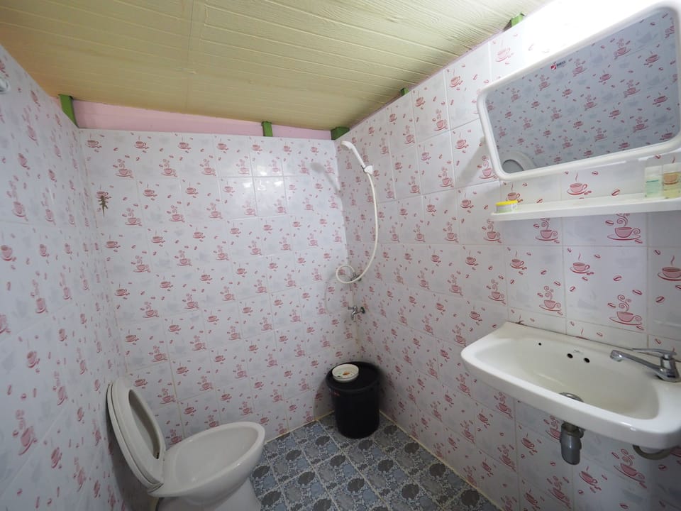 Shower, free toiletries, towels