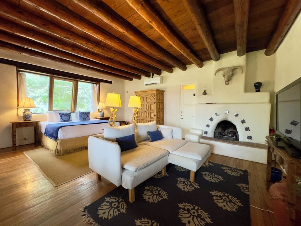 Deluxe King Suite (Pet Friendly) | Living area
