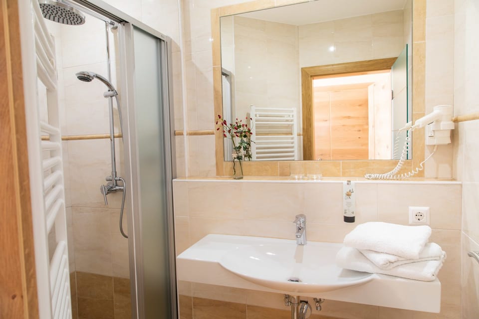 Family Room | Bathroom | Shower, free toiletries, hair dryer, towels