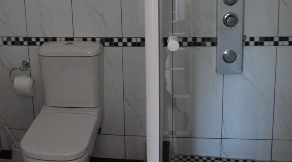 Standard Double or Twin Room | Bathroom | Shower, free toiletries, towels