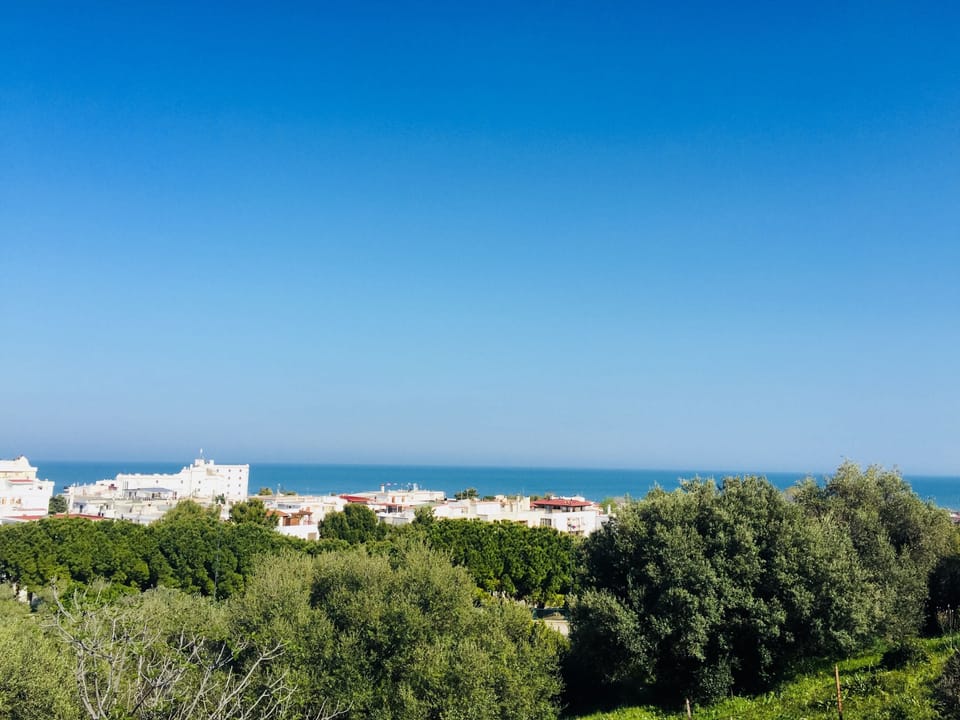 View from room