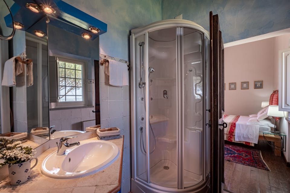 Deluxe Double Room | Bathroom | Shower, free toiletries, hair dryer, bidet