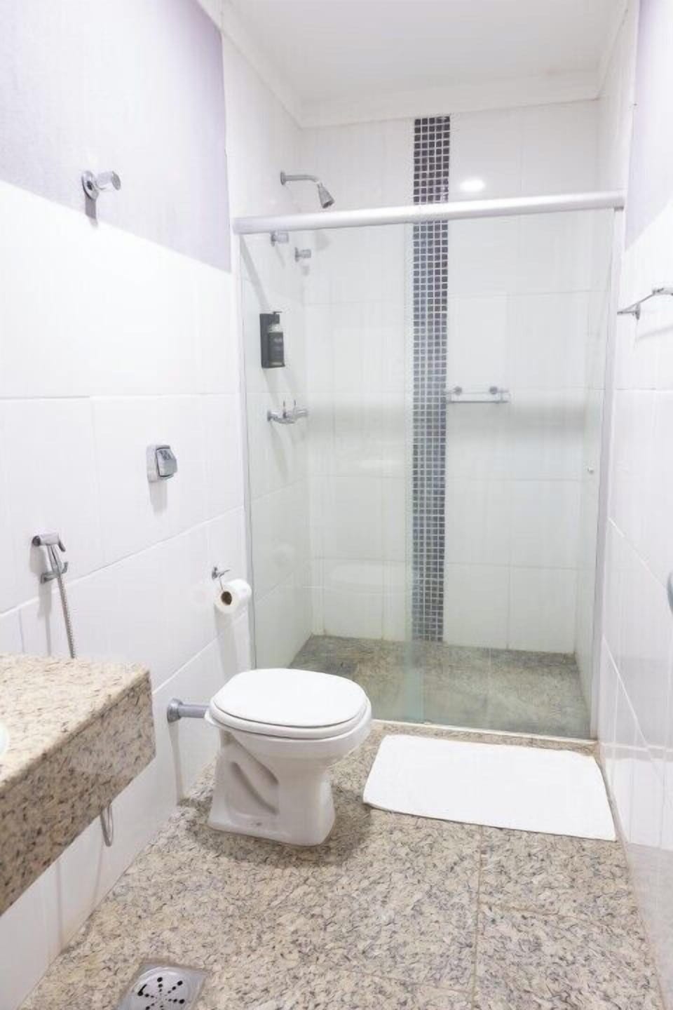Bidet, towels, soap, toilet paper