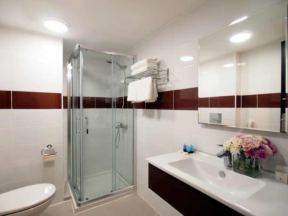 Shower, free toiletries, hair dryer, towels