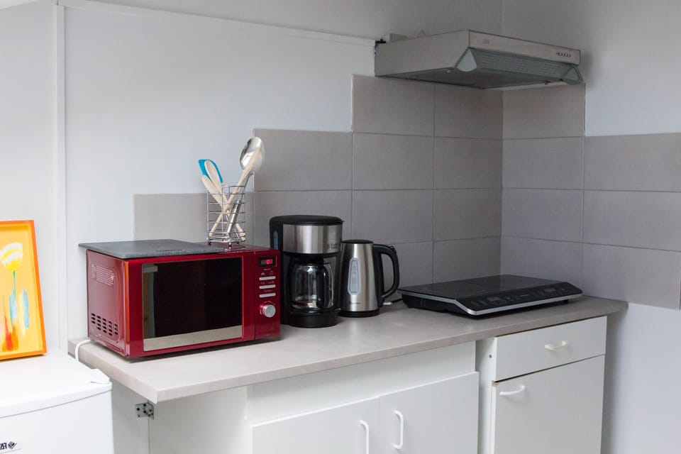 Apartment, 2 Bedrooms | Private kitchenette | Full-size fridge, microwave, stovetop, coffee/tea maker