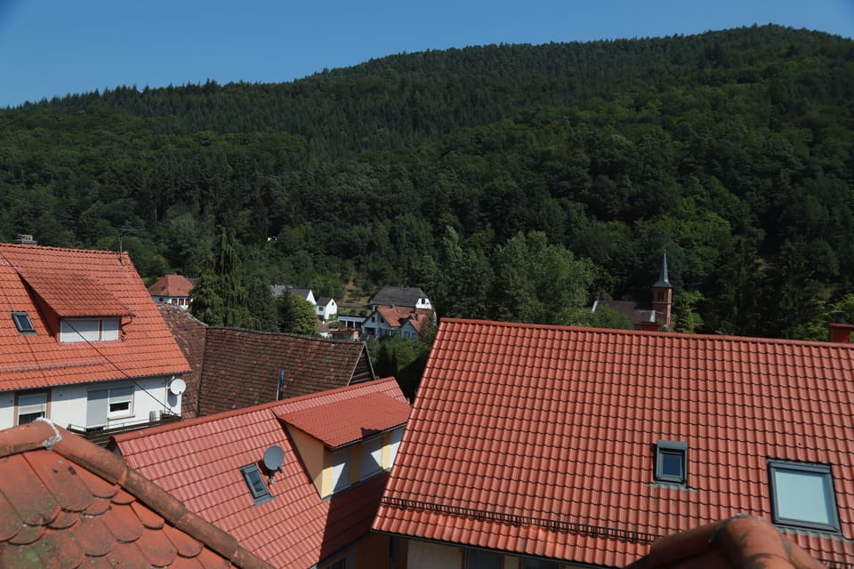 View from room