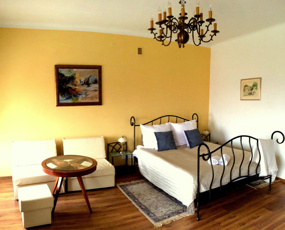Standard Double Room, 1 Double Bed, City View | Desk, iron/ironing board, rollaway beds, free WiFi