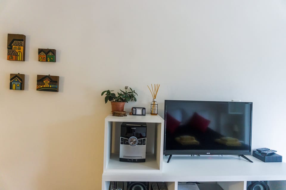 Television