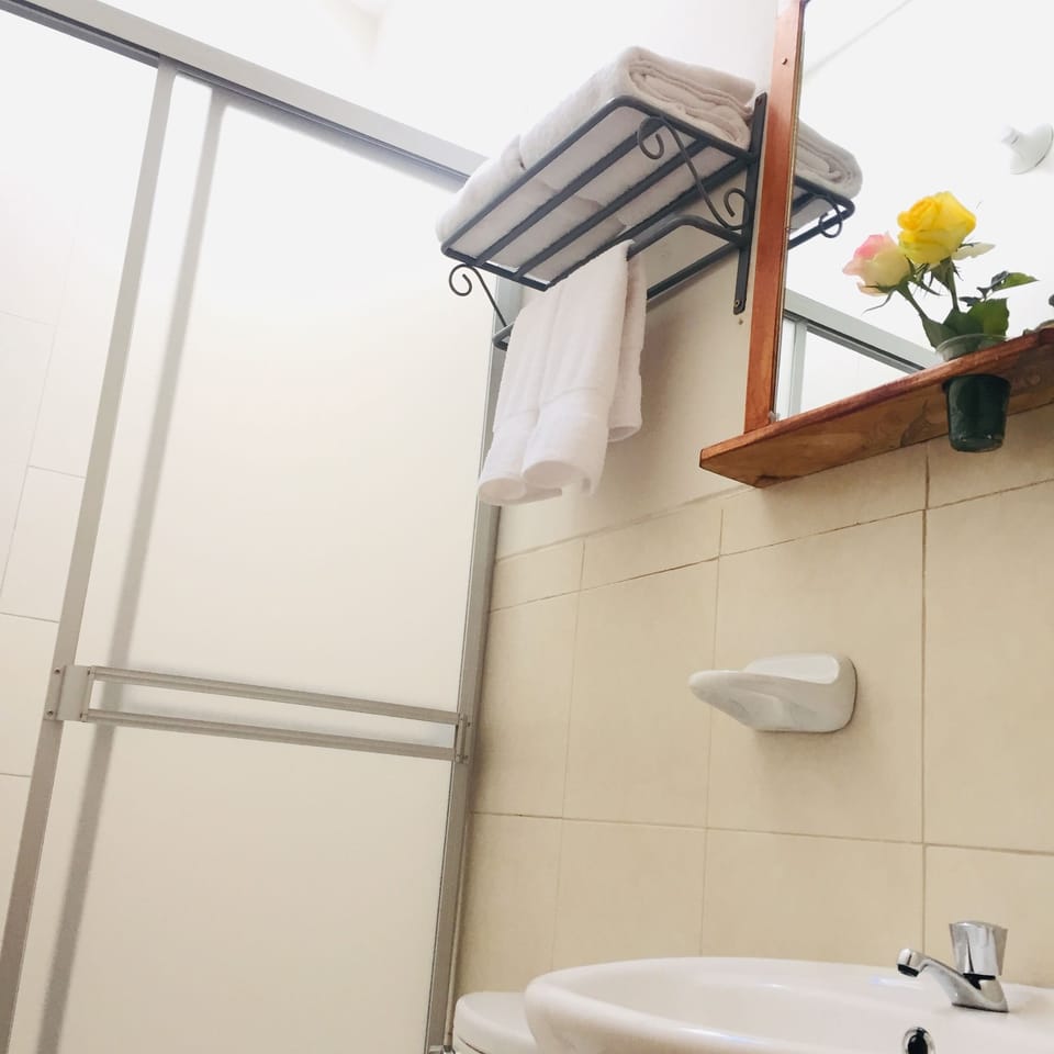 Shower, rainfall showerhead, free toiletries, hair dryer (on request)