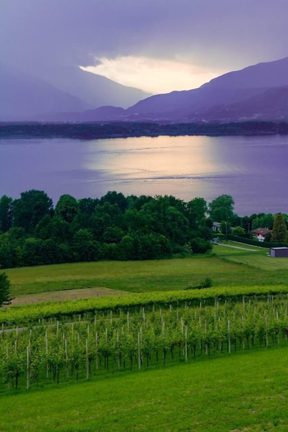 View from property